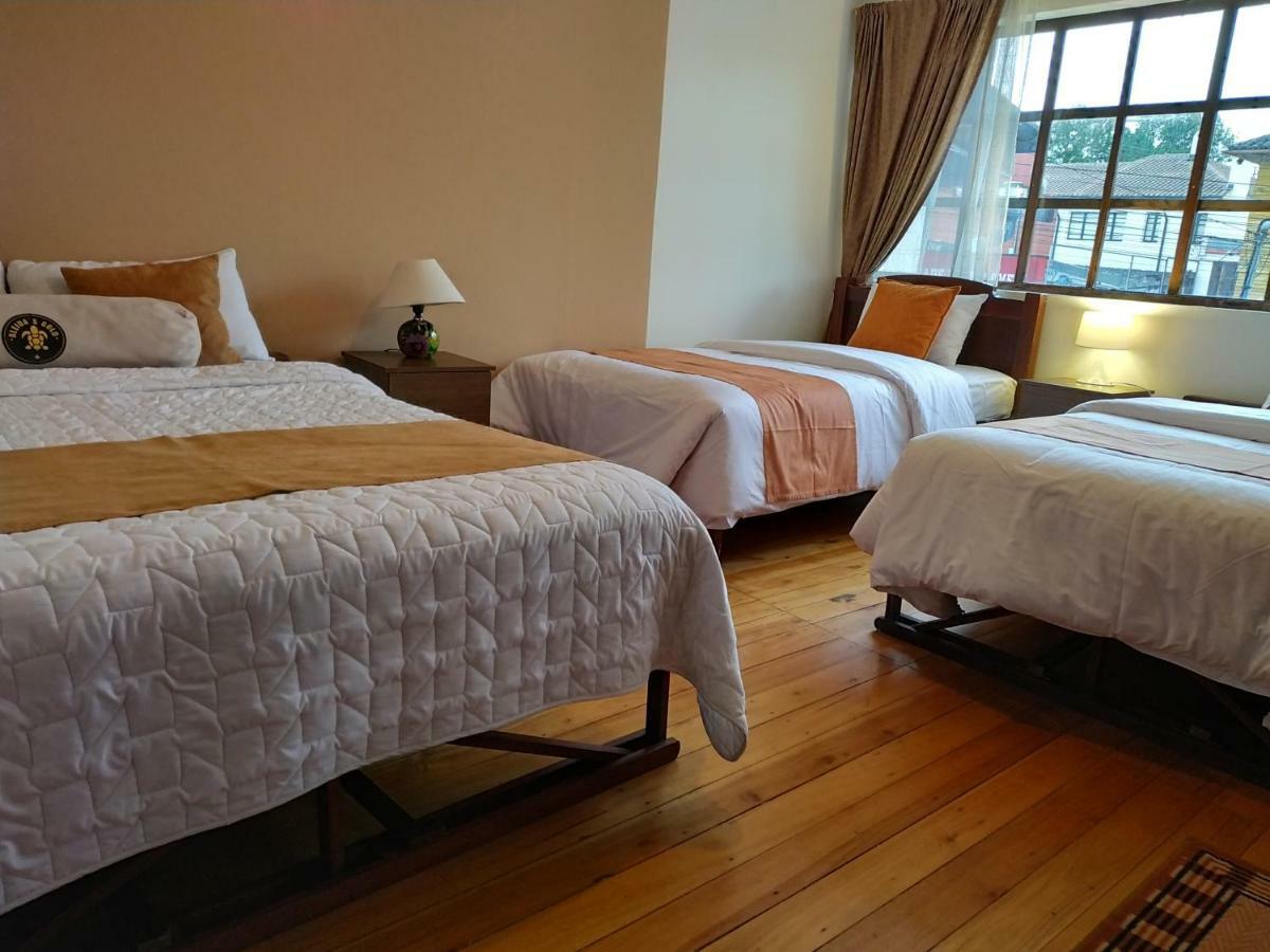 Puembo Aleida'S Hostal מראה חיצוני תמונה